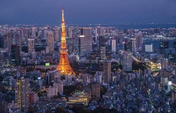 Tokyo, Japonya - 9 Aralık 2019 Tokyo hava manzaralı Tokyo Kulesi, Japonya Tokyo kulesi ve alacakaranlık arkaplan manzaralı şehir merkezi.