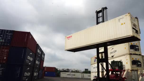 Container Navio Exportação Importação Negócios Logística Transporte Carga Para Porto — Vídeo de Stock