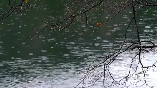 湖の秋の冷たい雨 — ストック動画