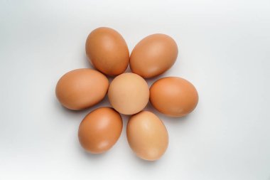 Beyaz arka planda tavuk yumurtası