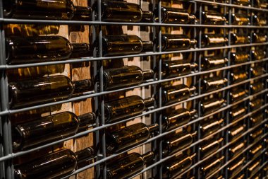 empty wine bottles on a shelf. wine Vault. wine bottle wall