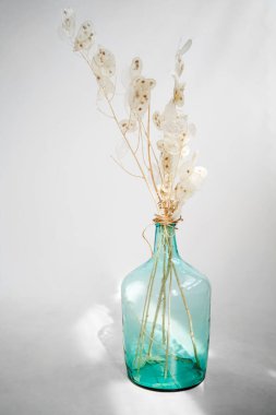 Beyaz arka planda cam bir vazoda dekor. Sabah ışığı. Vazodaki kuru çiçekler.