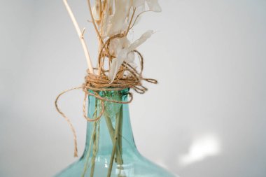 Beyaz arka planda cam bir vazoda dekor. Sabah ışığı. Vazodaki kuru çiçekler.