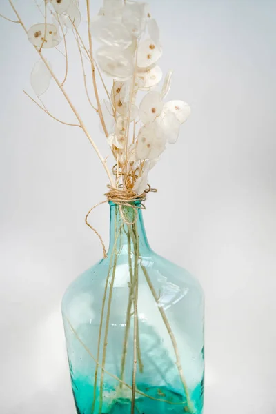 Διακόσμηση Γυάλινο Βάζο Λευκό Φόντο Πρωινό Φως Στεγνά Λουλούδια Βάζο — Φωτογραφία Αρχείου