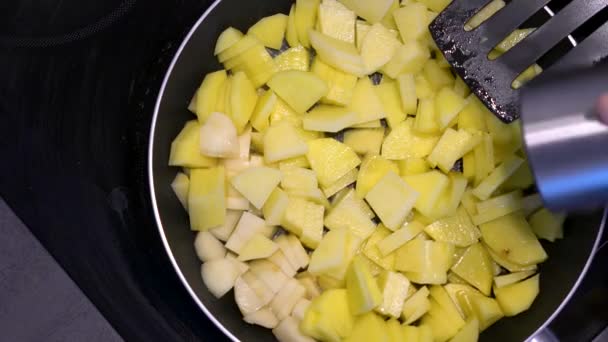 女の子は電気ストーブの上で油で鍋にジャガイモをフライドポテト 自家製だ 二人でおいしいディナー アメリカ料理 — ストック動画