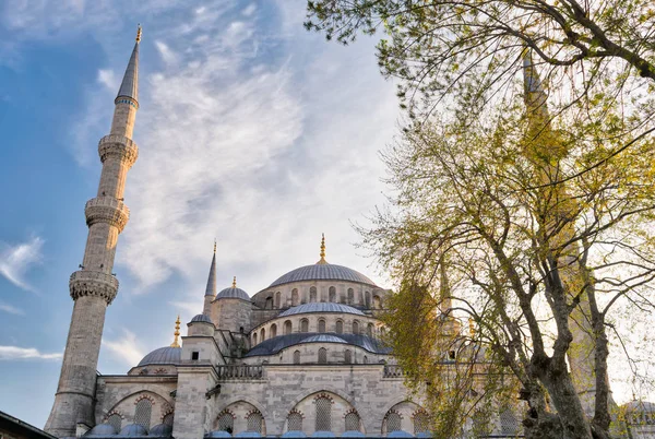 Außenaufnahme der Kuppeln der Sultan-Ahmed-Moschee (blaue Moschee), Istanbul, Türkei — Stockfoto