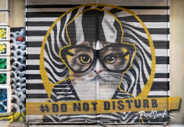 Hoca Tahsin Street, Karaköy bölge, Istanbul, Türkiye'nin renkli grafiti dükkan kapalı dış metal kapı ile kaplı