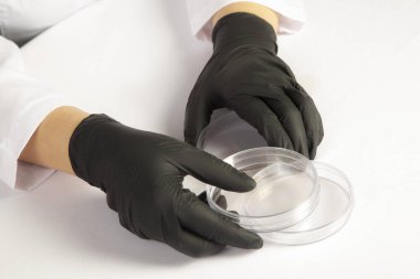 arkaplan dokusu doğal ahşap rengi kırmızı