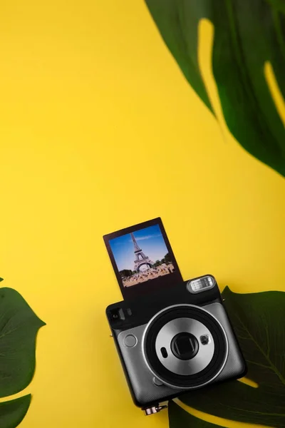 Palmiye yapraklarının arka planında anlık kamera var. polaroid resimler