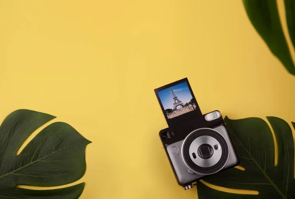 Palmiye yapraklarının arka planında anlık kamera var. polaroid resimler