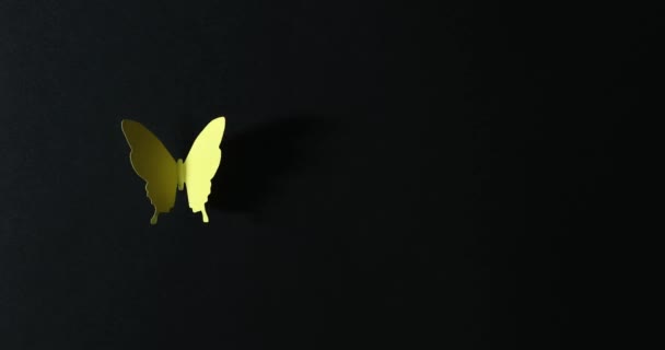 Stop Motion Motion Paper Butterflies Dark Background — ストック動画