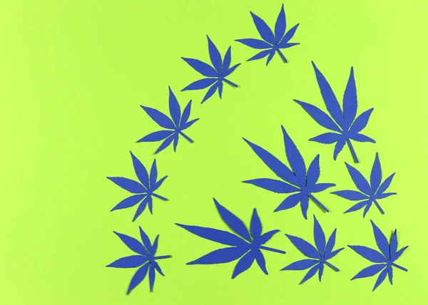 Paper applique paper hemp leaves on colored backgrounds. The concept of legalization.