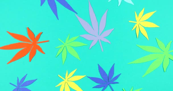 Paper Applique Paper Hemp Leaves Colored Backgrounds Concept Legalization — ストック動画
