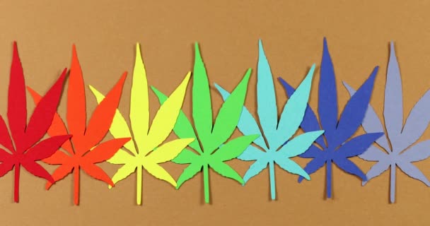 Papel Apliques Hojas Cáñamo Papel Sobre Fondos Color Concepto Legalización — Vídeo de stock