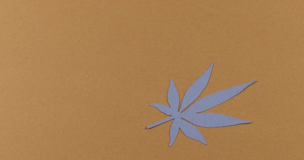 Paper Applique Paper Hemp Leaves Colored Backgrounds Concept Legalization — Stock Video