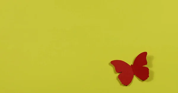 Papillons Colorés Volent Autour Sur Fond Papier Coloré — Photo