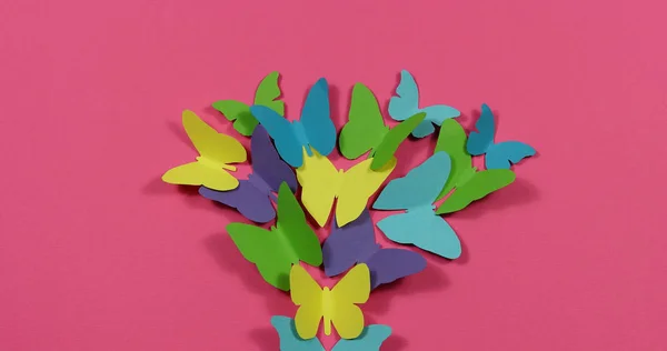 Цветные Бабочки Летают Цветном Бумажном Фоне — стоковое фото
