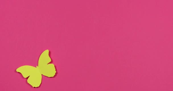 Stop Maschinen Animationspapier Farbige Schmetterlinge Fliegen Auf Einem Farbigen Papierhintergrund — Stockvideo