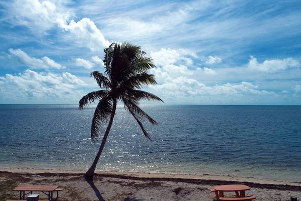 Key West Florida Keys Amerika Birleşik Devletleri Giden Millik Ünlü — Stok fotoğraf