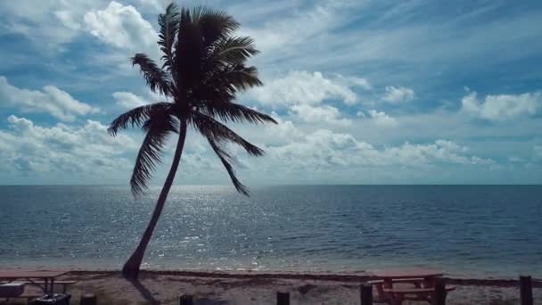 Luchtfoto Buurt Van Beroemde Brug Weg Naar Key West Florida — Stockvideo