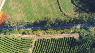 Renkli ağaçlarla ve güzel ormanlarla dolu bir yol manzarası. Harika manzara..