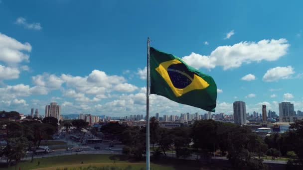 Вид Воздуха Общественный Парк Музей Независимости Бразилии Ипиранга Сан Паулу — стоковое видео