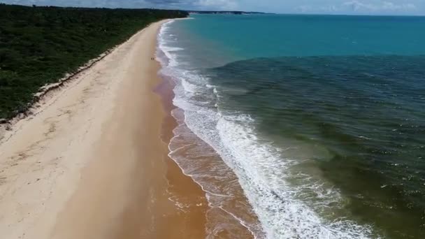 Panoramisch Uitzicht Het Paradijselijke Strand Prachtige Dag Groot Landschap — Stockvideo