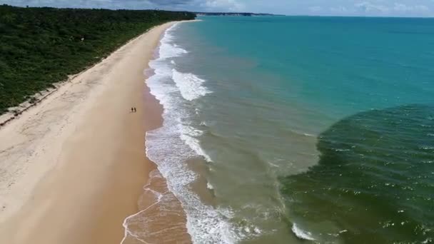 Πανοραμική Θέα Της Παραλίας Του Παραδείσου Την Υπέροχη Μέρα Μεγάλο — Αρχείο Βίντεο
