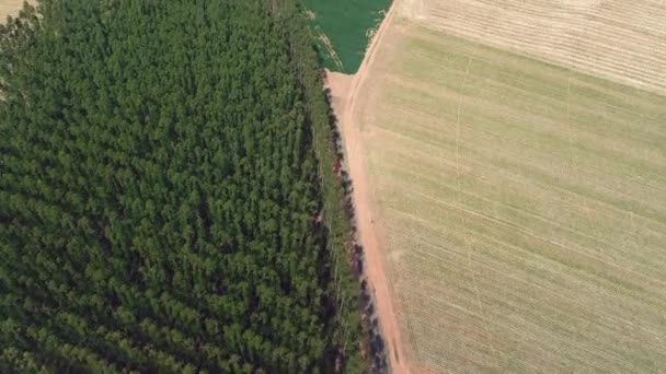 Panoramatický Pohled Pole Zemědělství Venkovská Venkovská Scéna Skvělá Krajina — Stock video