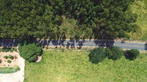 農村部の道路のパノラマのいくつか 田舎の風景 農業分野 素晴らしい風景 — ストック動画