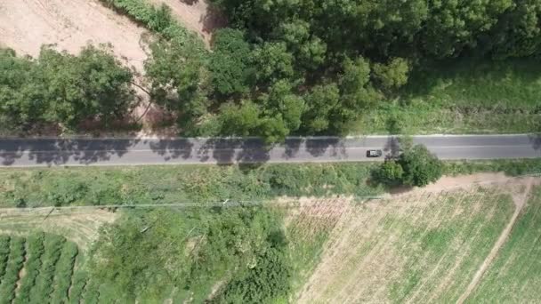 Vazio Panorâmico Uma Estrada Rural Cena Campo Campo Agrícola Grande — Vídeo de Stock