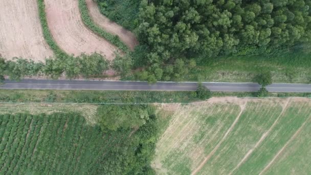 Panoramisch Uitzicht Een Landelijke Weg Platteland Scene Landbouwgebied Groot Landschap — Stockvideo