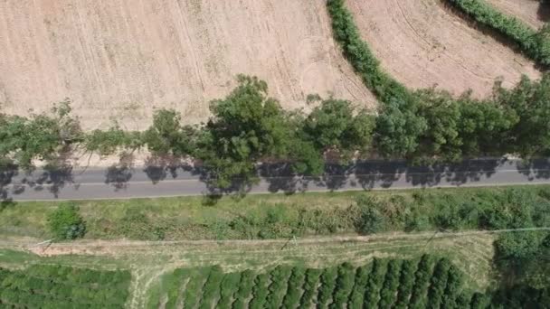 Vifew Panoramico Una Strada Rurale Scena Campagna Settore Agricolo Grande — Video Stock