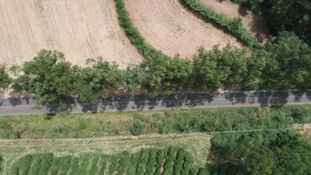 Vifew Panoramico Una Strada Rurale Scena Campagna Settore Agricolo Grande — Video Stock