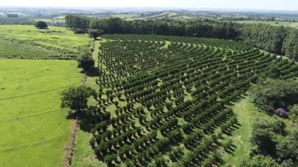 Panoramautsikt Över Jordbruksområdet Landsbygd Och Landsbygd Stort Landskap — Stockvideo