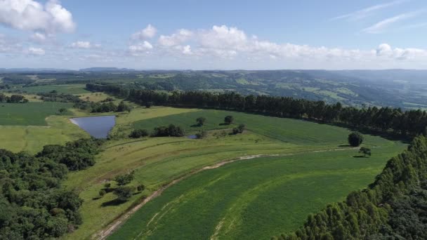 農業分野のパノラマビュー 田舎や田舎の風景 素晴らしい風景 — ストック動画