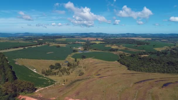 Vista Panoramica Del Settore Agricolo Scena Rurale Rurale Grande Paesaggio — Video Stock