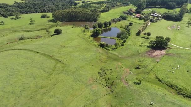 Panoramautsikt Över Jordbruksområdet Landsbygd Och Landsbygd Stort Landskap — Stockvideo