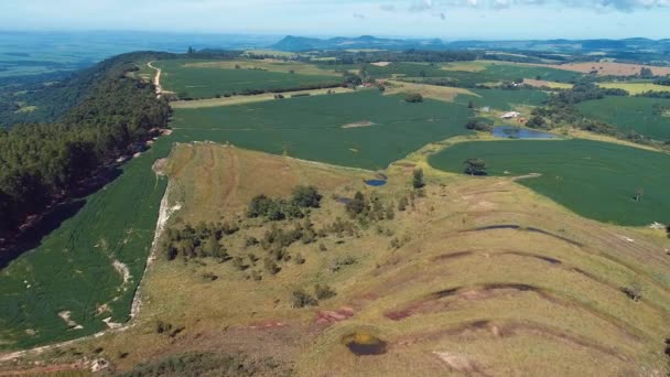 Tarım Alanının Panoramik Görüntüsü Kırsal Kırsal Bölgeler Harika Manzara — Stok video