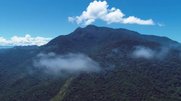 Panoramisch Uitzicht Baai Van Paraty Zonnige Dag Rio Janeiro Brazilië — Stockvideo