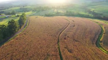 Kırsal yaşam sahnesinin havadan görünüşü. Harika bir manzara. Kır manzarası.