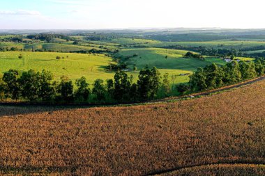 Kırsal yaşam sahnesinin havadan görünüşü. Harika bir manzara. Kır manzarası.
