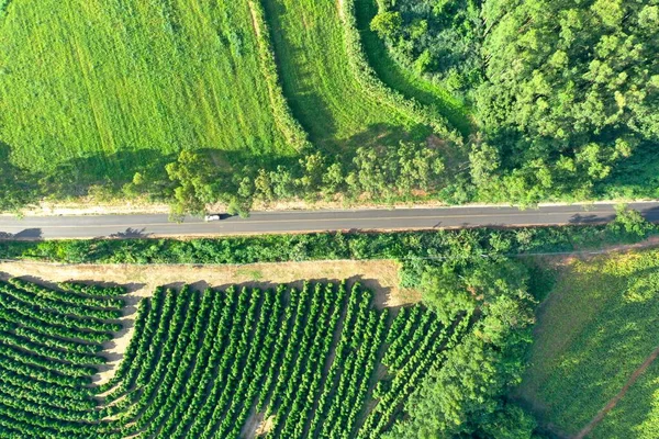 Luchtfoto Van Het Platteland Geweldig Landschap Landelijk Landschap — Stockfoto