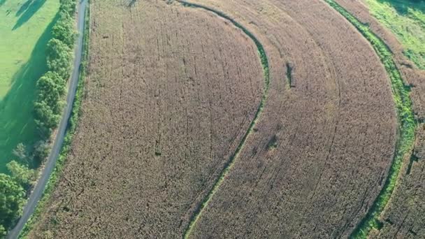 Vue Aérienne Vie Rurale Très Beau Paysage Scène Campagne — Video