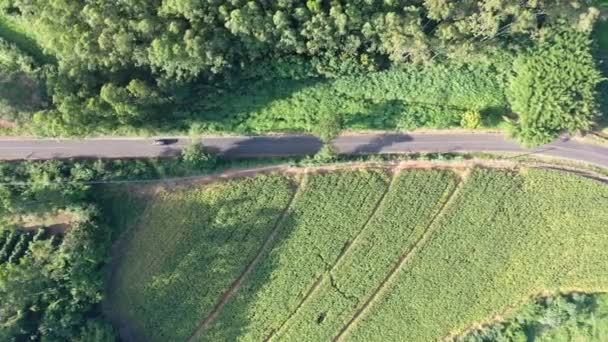 農村の生活シーンの空中ビュー 素晴らしい風景 田舎の風景 — ストック動画