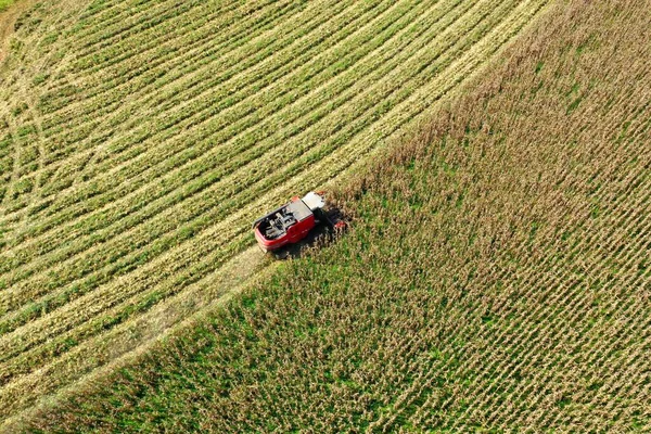 Oogstmachine Werkt Het Maïsveld Agro Zaken Groot Landschap — Stockfoto