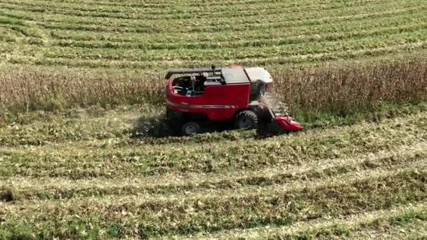 Machine Récolte Fonctionnant Sur Champ Maïs Agro Alimentaire Grand Paysage — Video