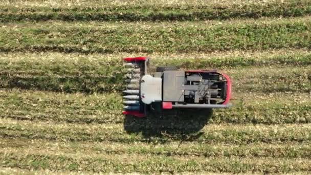 Cosechadora Operando Campo Maíz Agro Negocio Gran Paisaje — Vídeo de stock