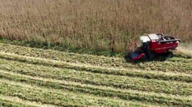 Mısır tarlasında çalışan hasat makinesi. Tarım işi. Harika manzara..