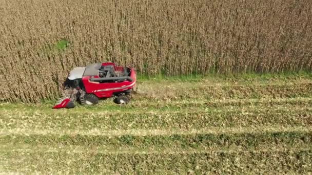 Oogstmachine Werkt Het Maïsveld Agro Zaken Groot Landschap — Stockvideo